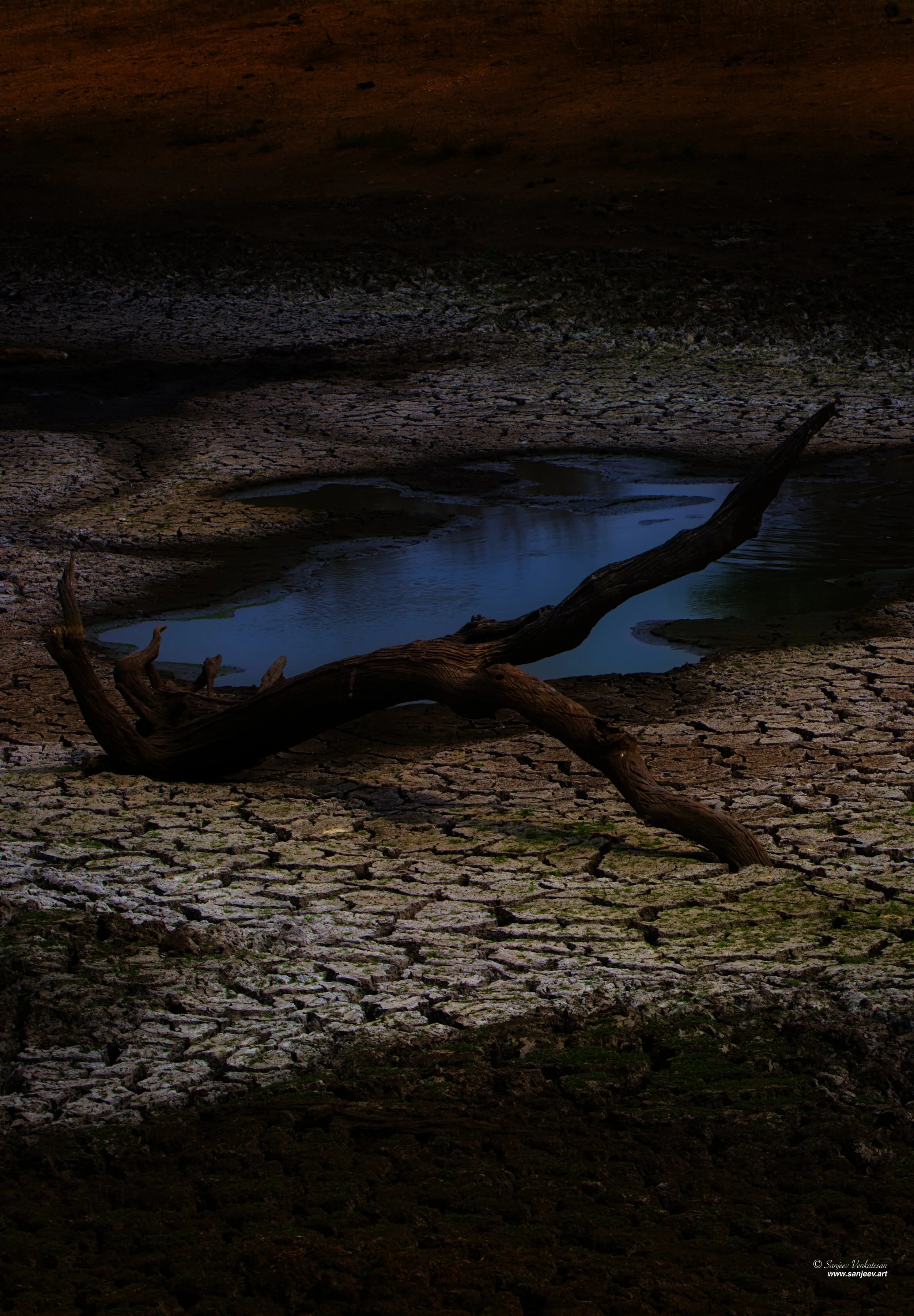 Pub Waterhole Log SA.jpg