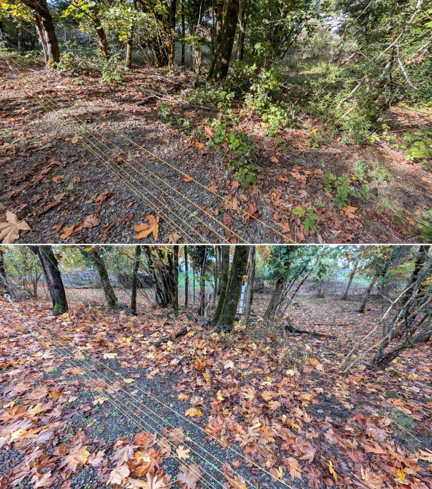 EWEB Paddock #3 Before_After 10_16_25 (4).png