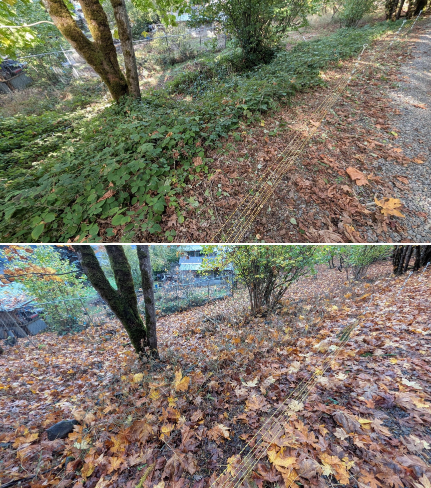 EWEB Paddock #3 Before_After 10_16_25 (3).png