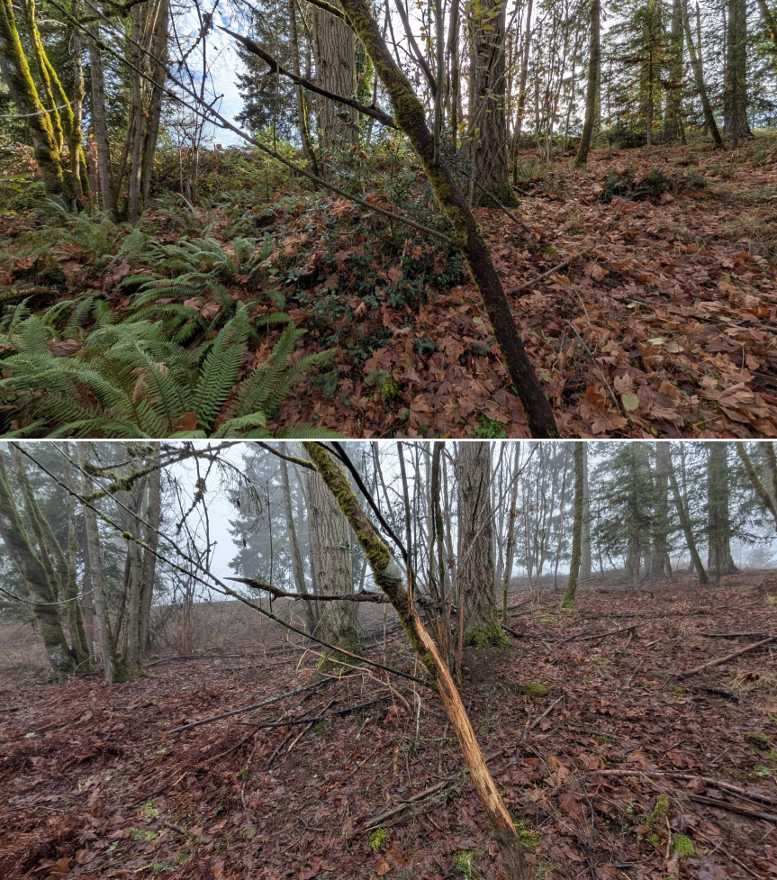 EWEB Paddock #5 Before_After 12_xx_25 (3).png