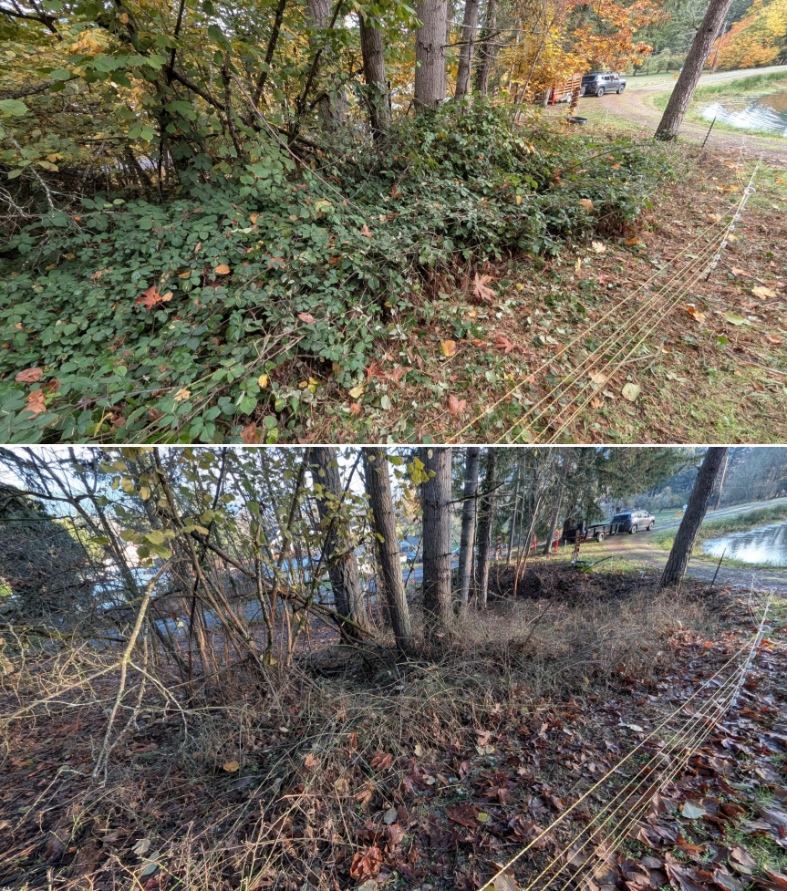 EWEB Paddock #4 Before_After 11_26_25 (2).png