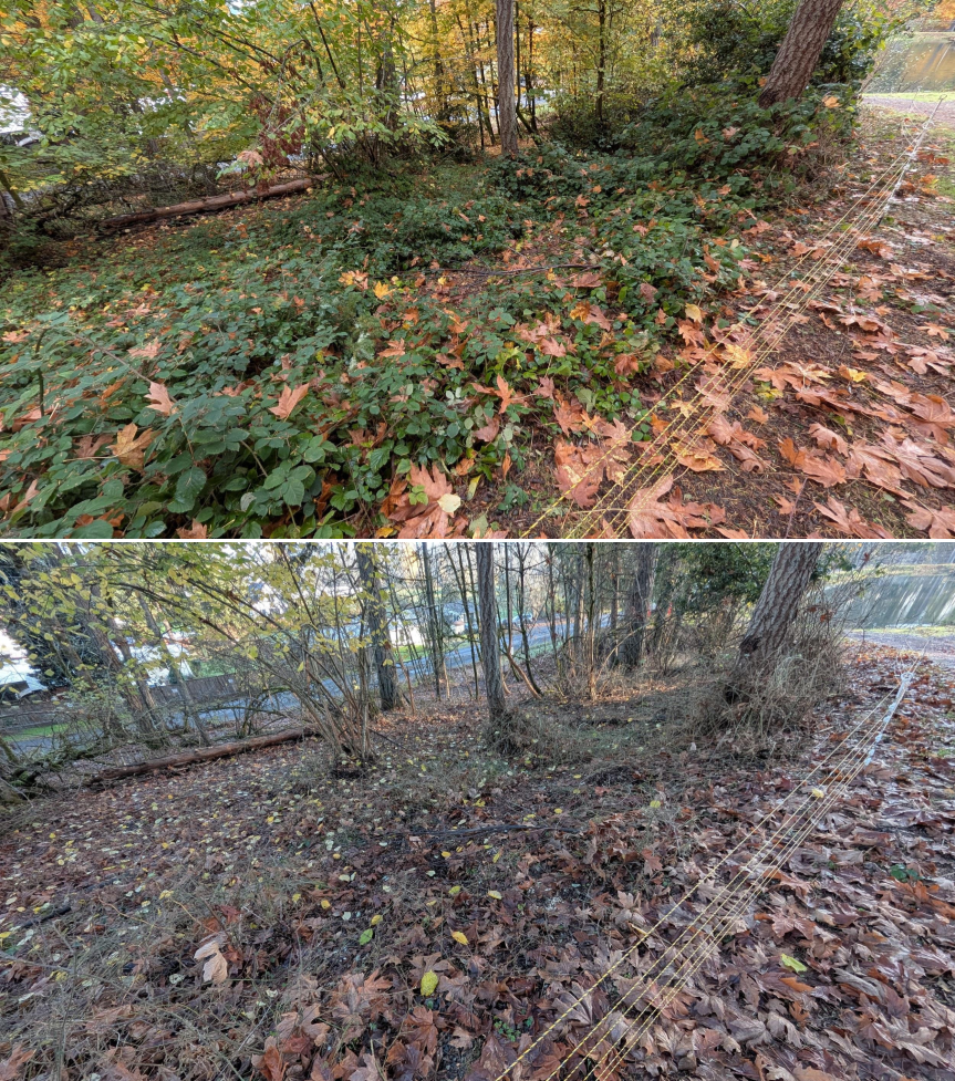 EWEB Paddock #4 Before_After 11_26_25 (4).png