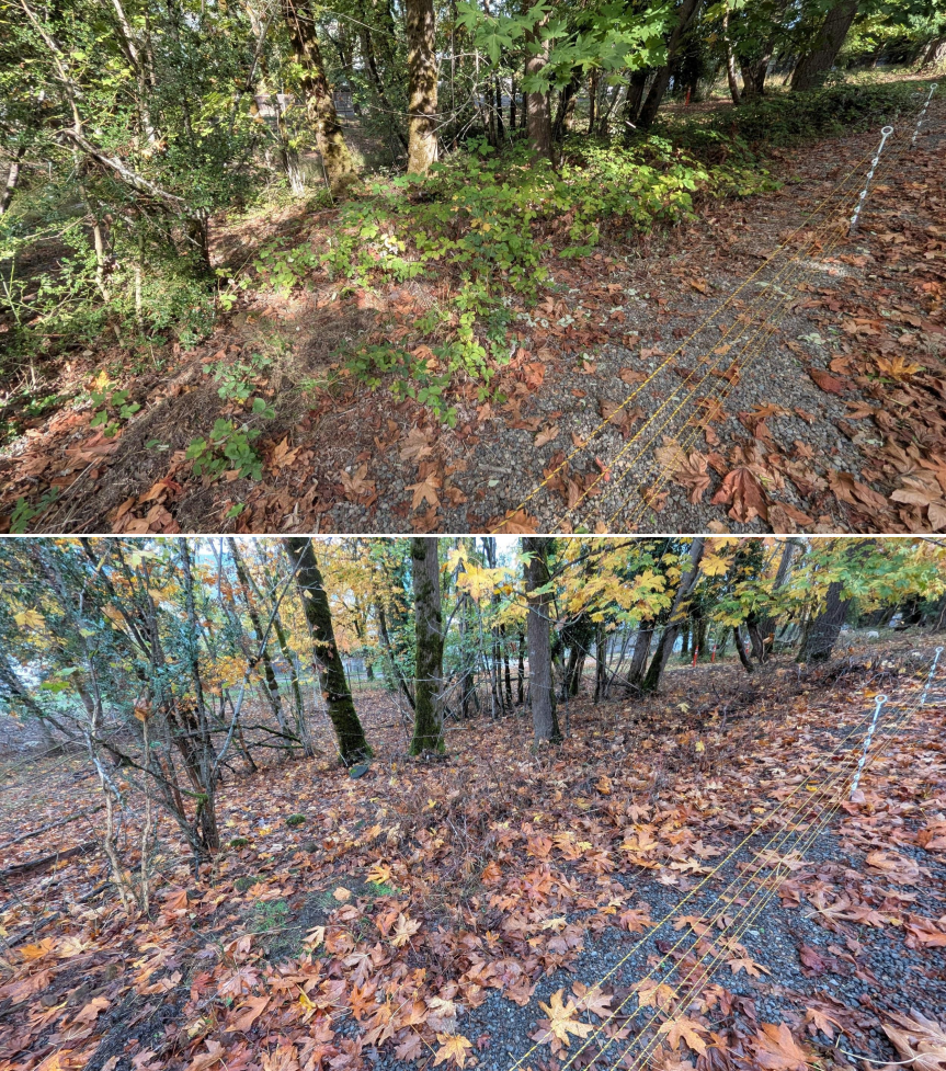 EWEB Paddock #3 Before_After 10_16_25 (5).png