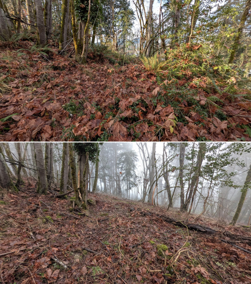 EWEB Paddock #5 Before_After 12_xx_25.png