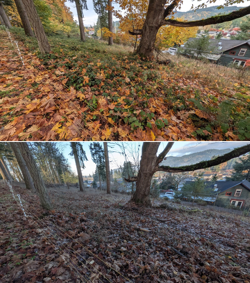 EWEB Paddock #4 Before_After 11_26_25 (12).png