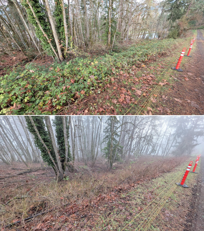 EWEB Paddock #5 Before_After 12_xx_25 (17).png