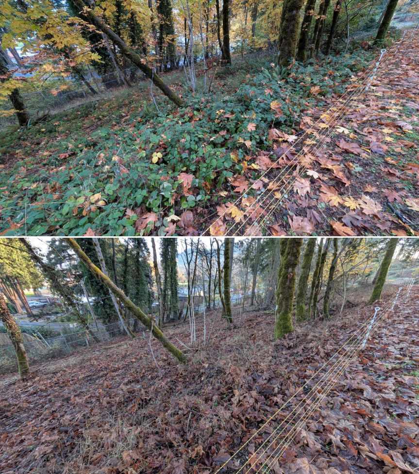 EWEB Paddock #4 Before_After 11_26_25 (8).png