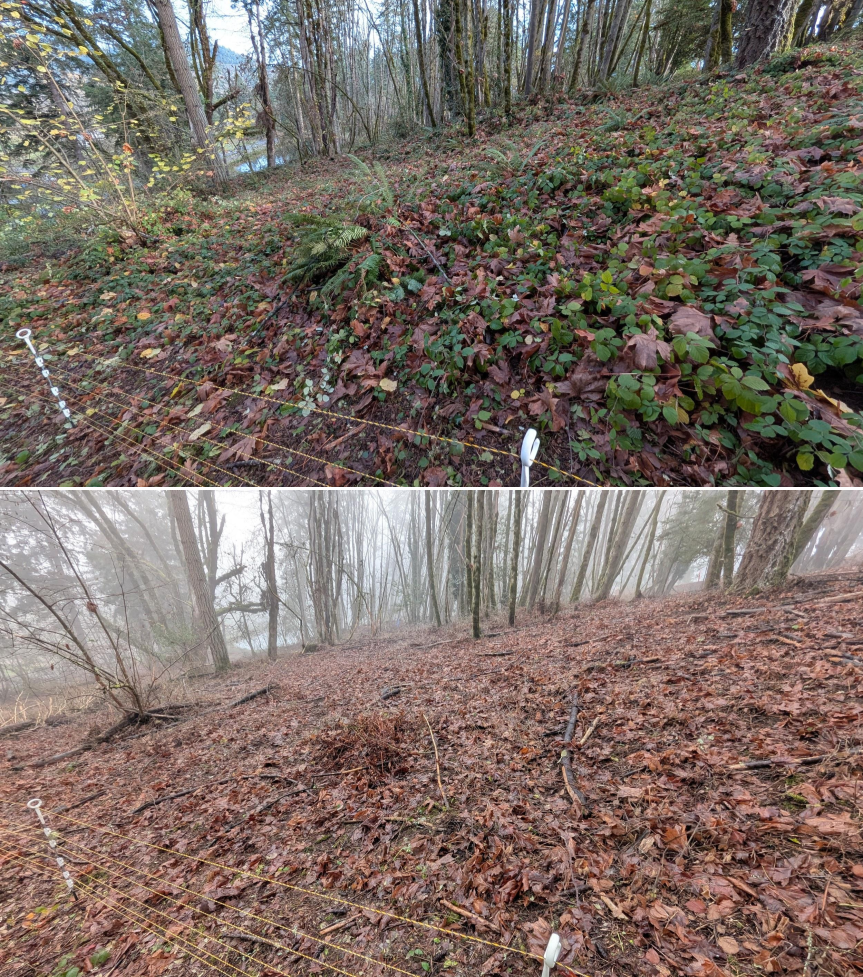 EWEB Paddock #5 Before_After 12_xx_25 (7).png