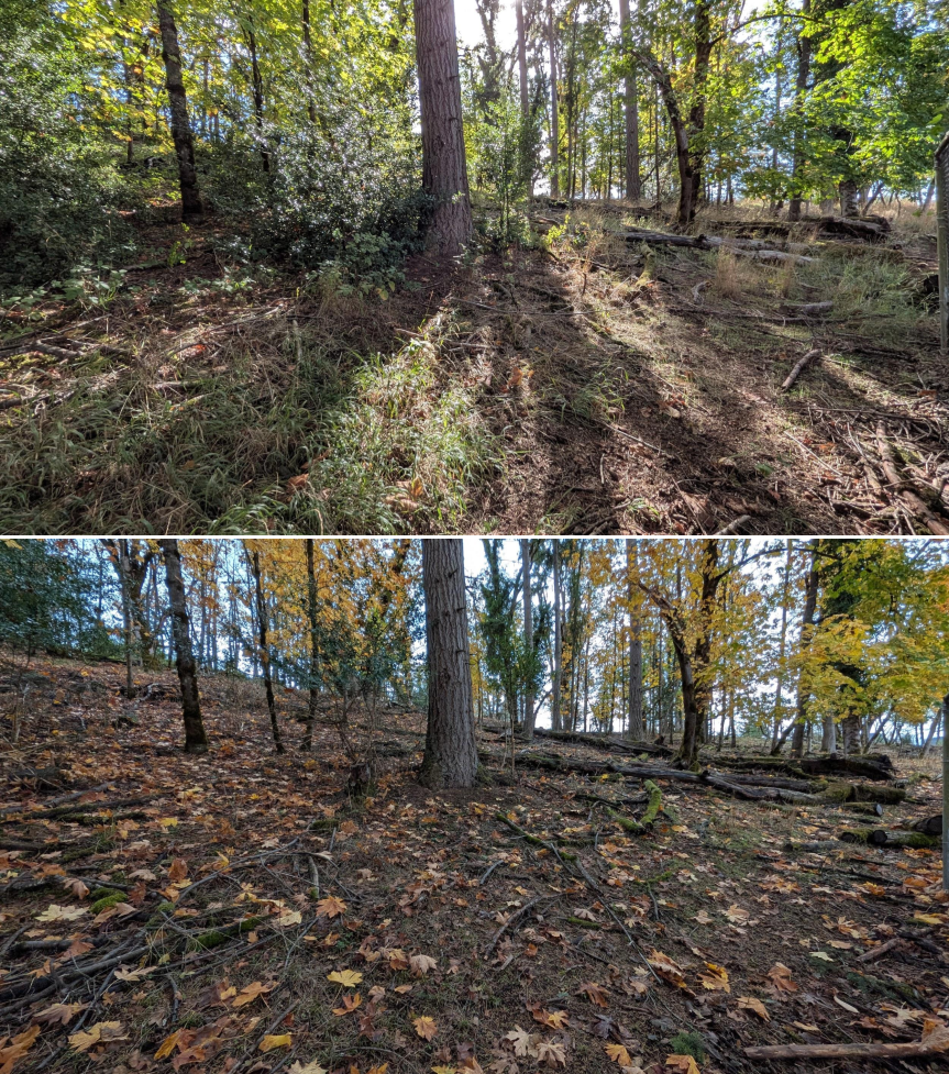 EWEB Paddock #3 Before_After 10_16_25 (7).png