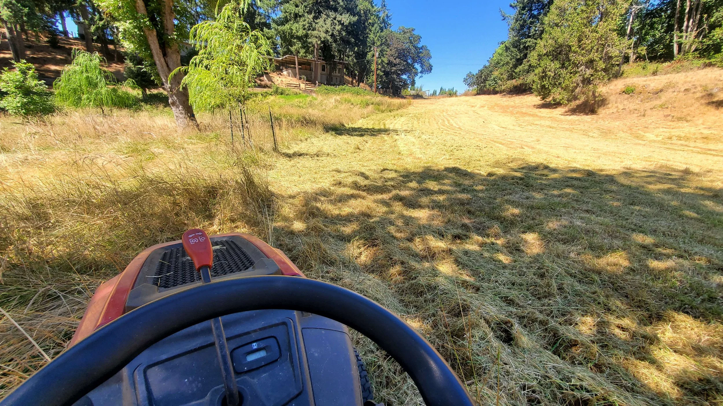 View from a mower seat overlooking a grassy hillside with short grass, trees, and a fence, under a clear blue sky.