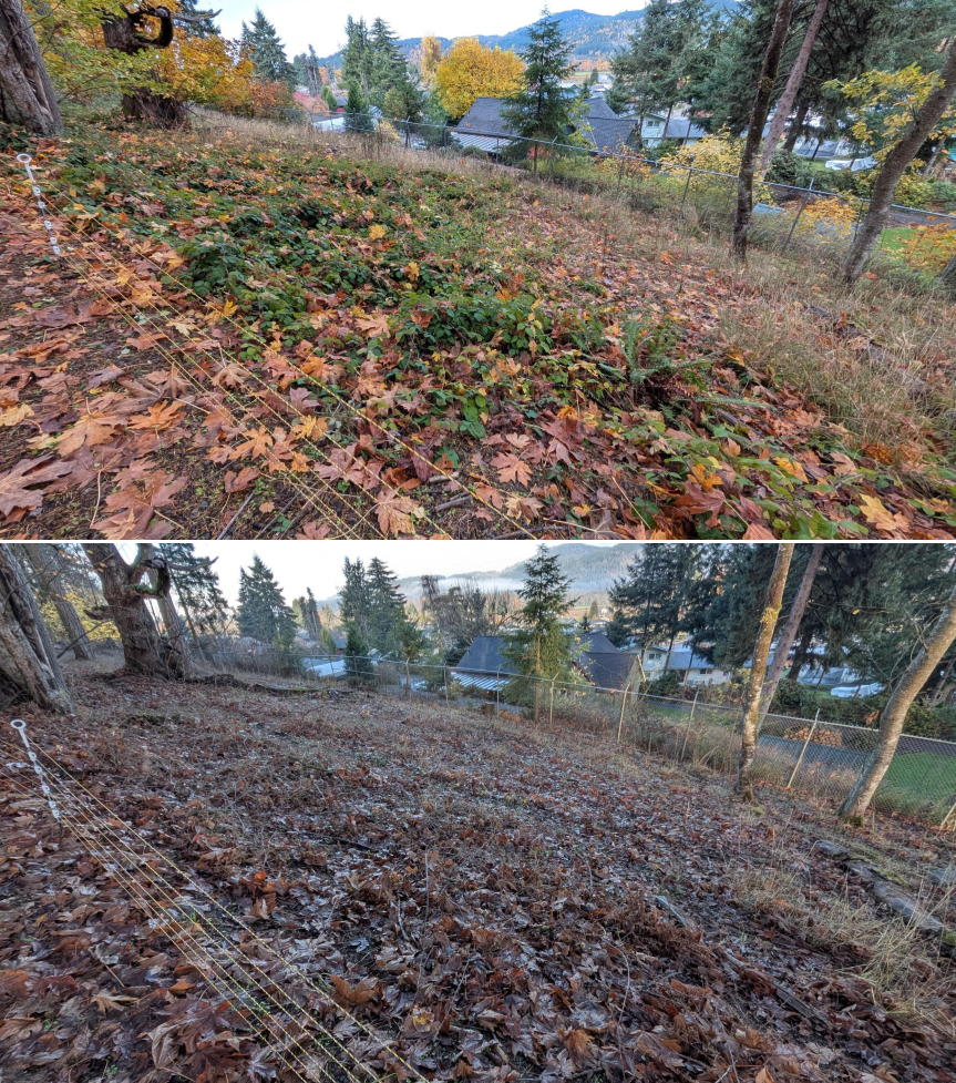 EWEB Paddock #4 Before_After 11_26_25 (11).png