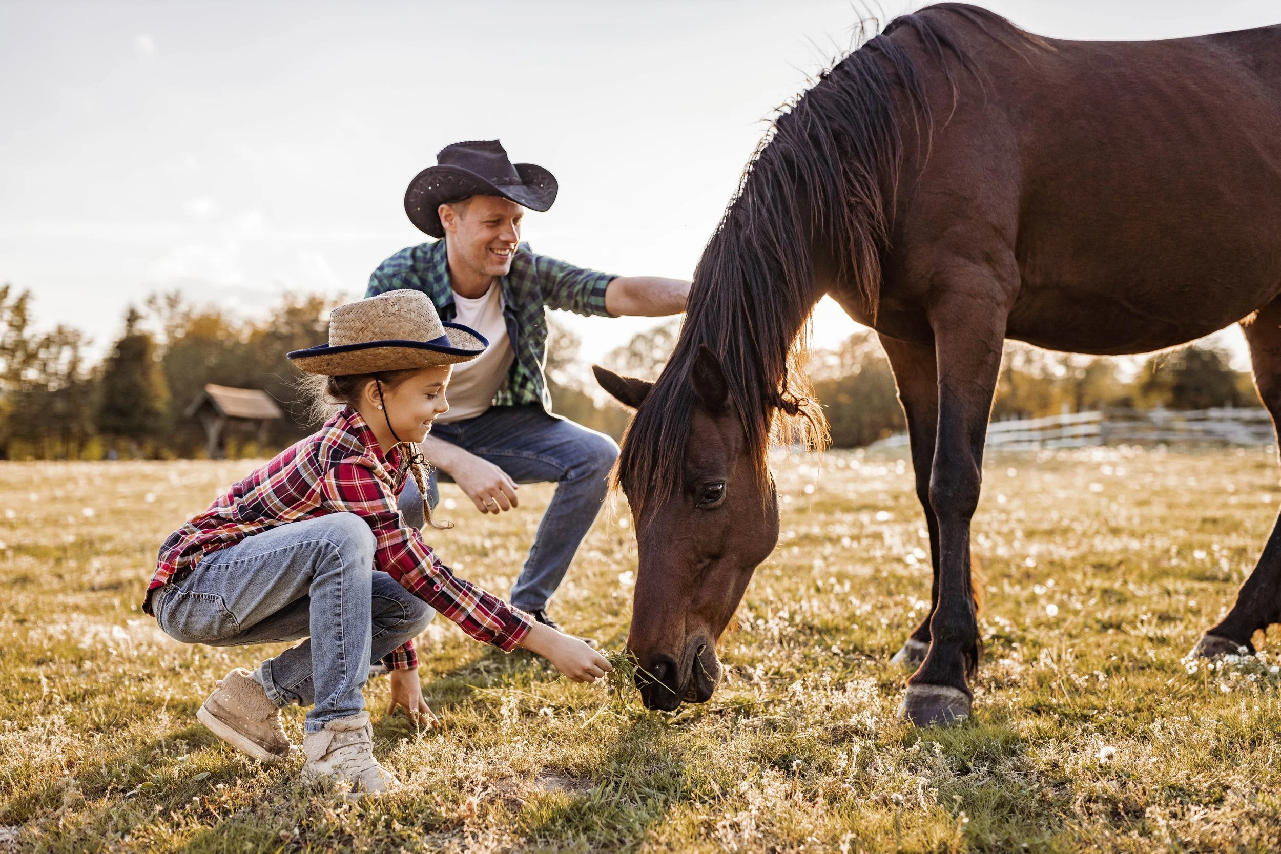 A young girl wearing a straw hat and plaid shirt is crouching and feeding a horse in a grassy field during sunset, with a man in a cowboy hat and plaid shirt smiling and reaching out to pet the horse.