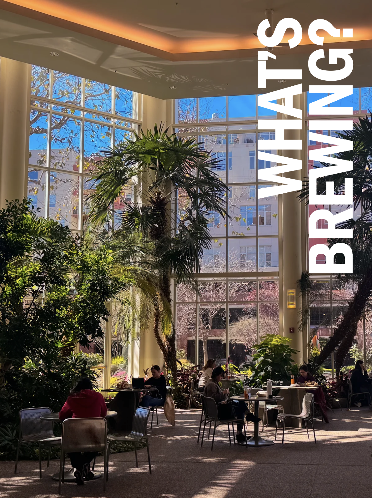 What’s Brewing?: The Unsuspected Coffee Capital