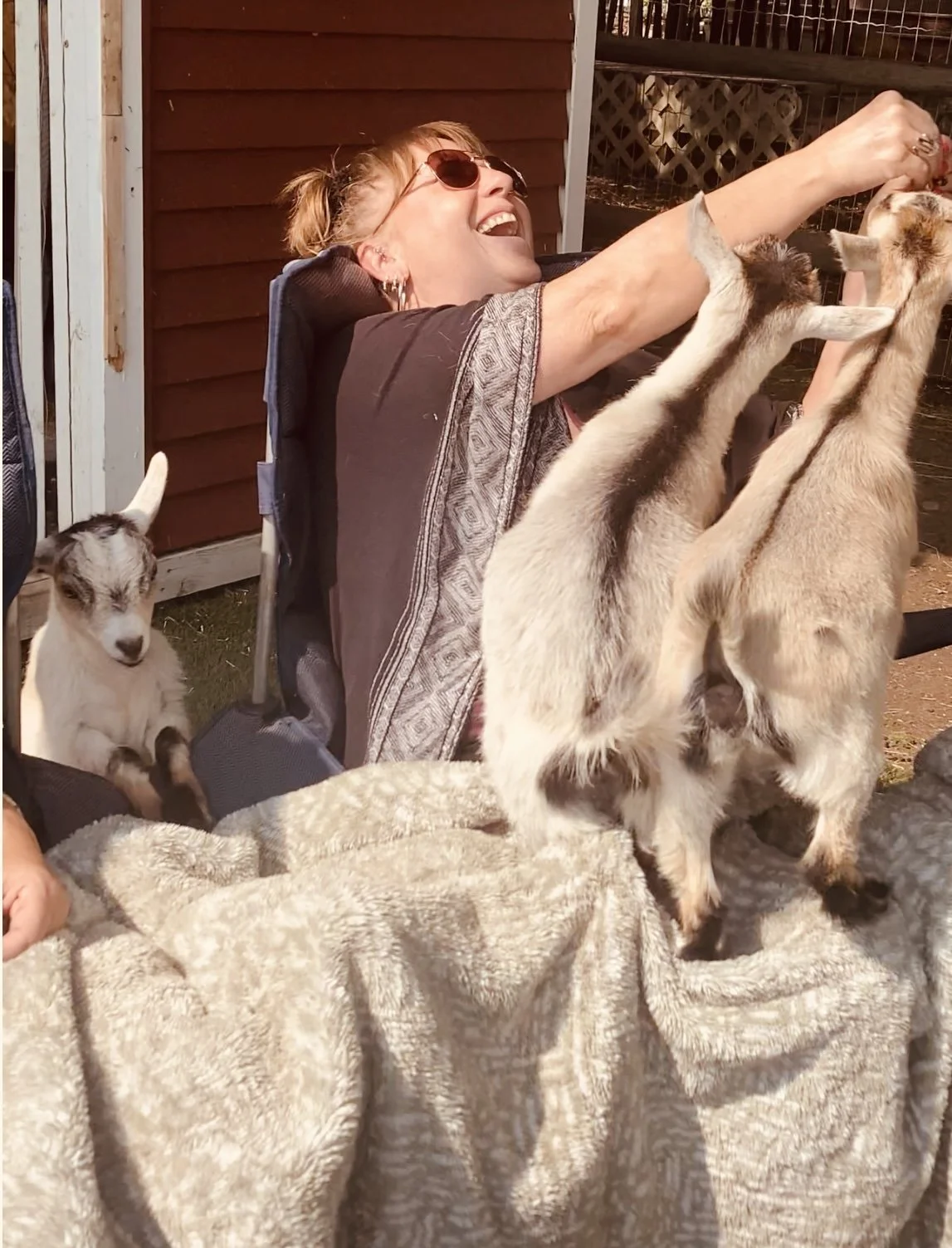 Mini Animal Connection Visits