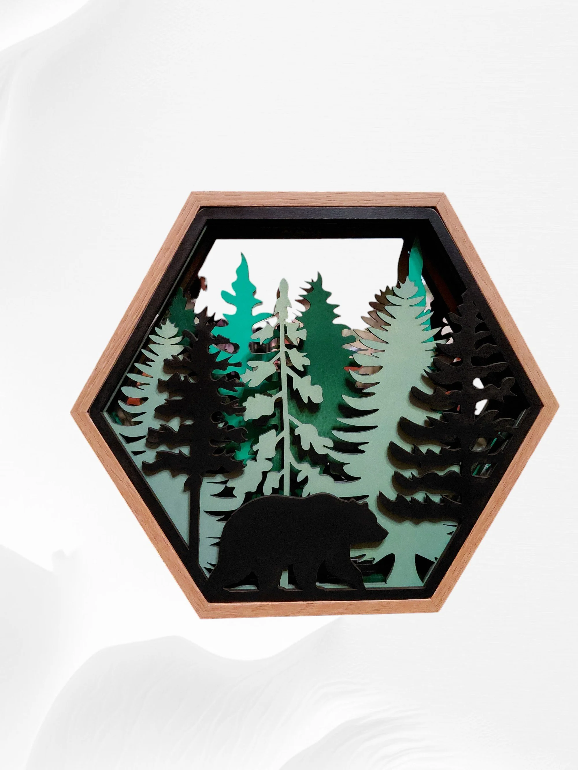 Bear picture - wb.jpg