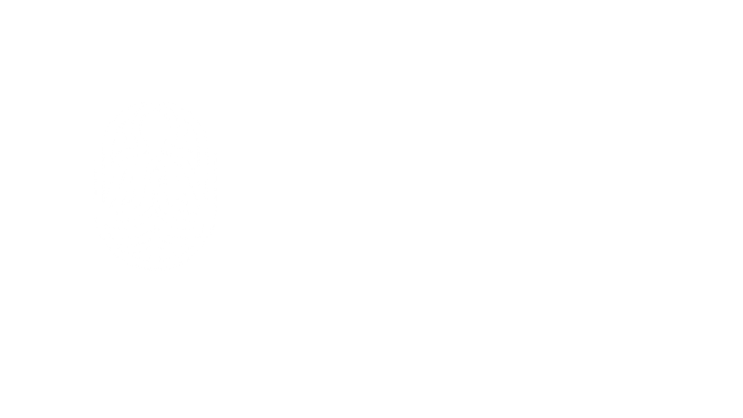 Shadow Coaching Institute