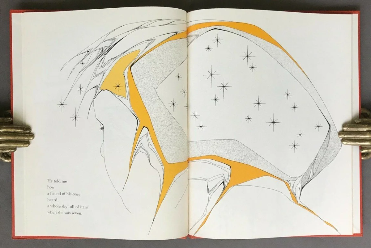 Open book showing an illustrative drawing of a starry night sky with a large star-filled area on the right page and a small poem on the lower left corner of the left page. Illustration by Peter Parnall book by Byrd Baylor