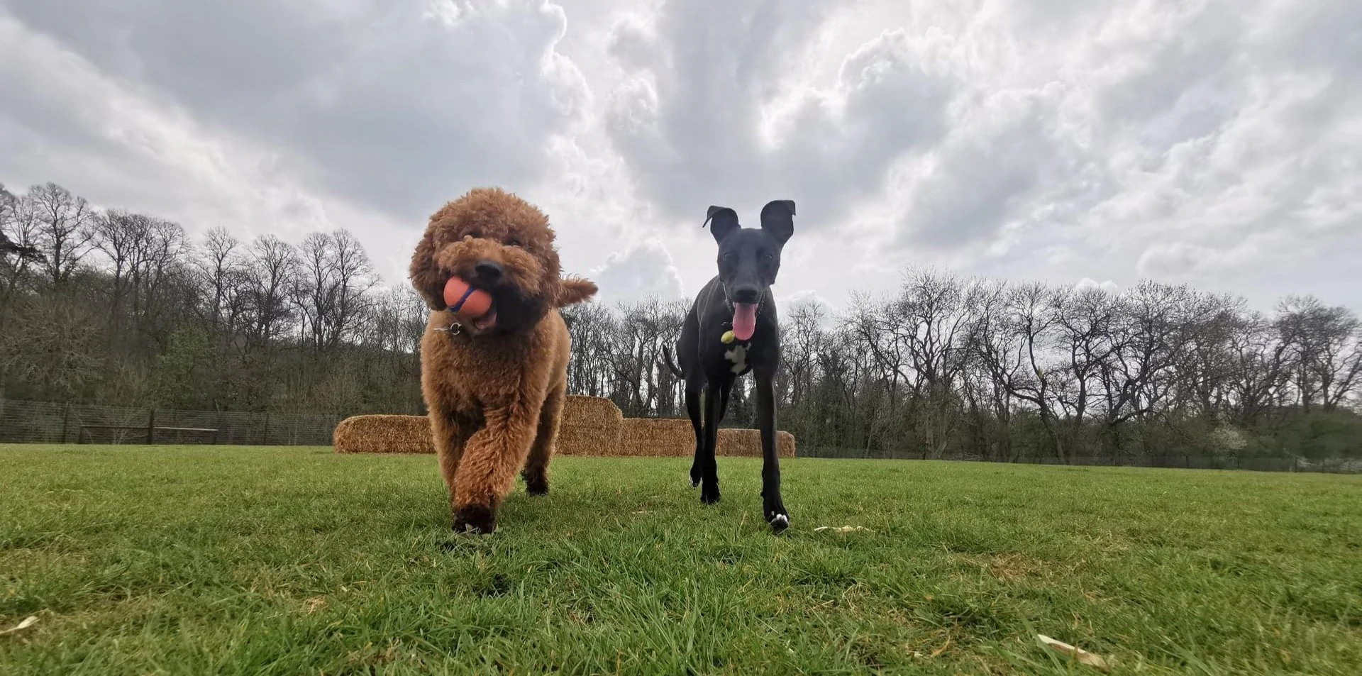 The Power Of Your Playdate Plan