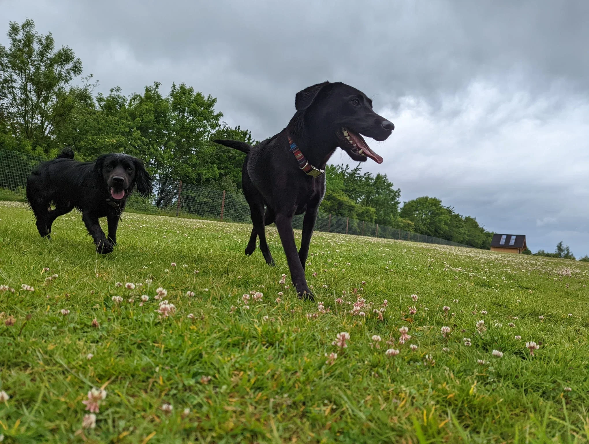 Living Their Best Lives