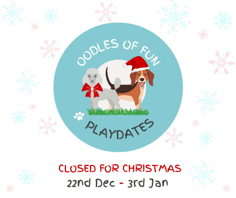 Christmas Dates For The Diary