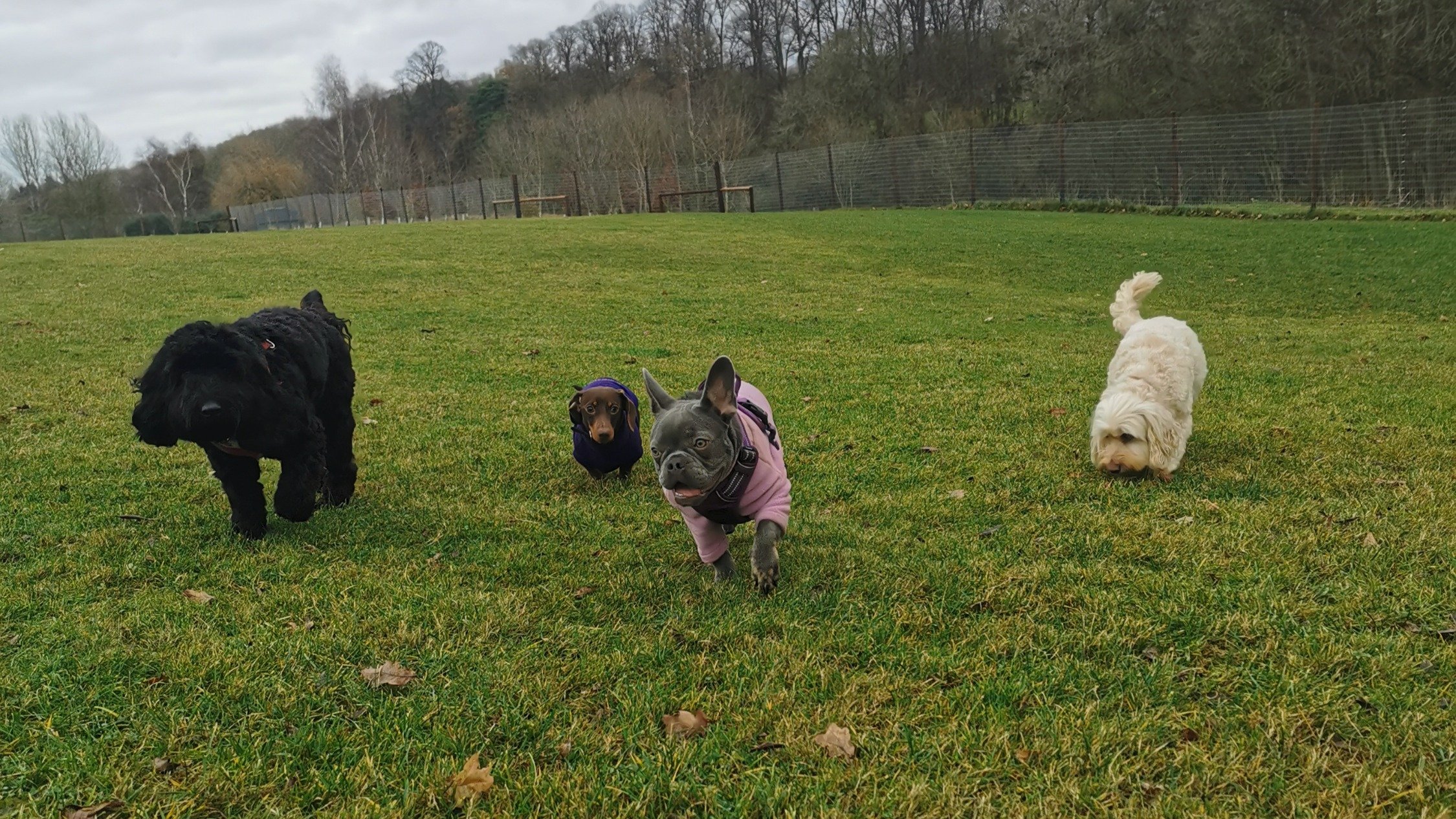 ONLY 2 MORE SLEEP &amp; THE FUN WILL RESUME