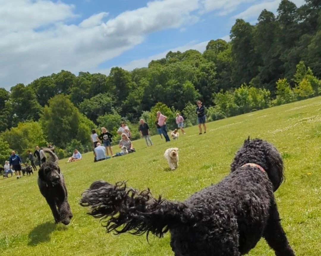 Let The Adventure Begin...