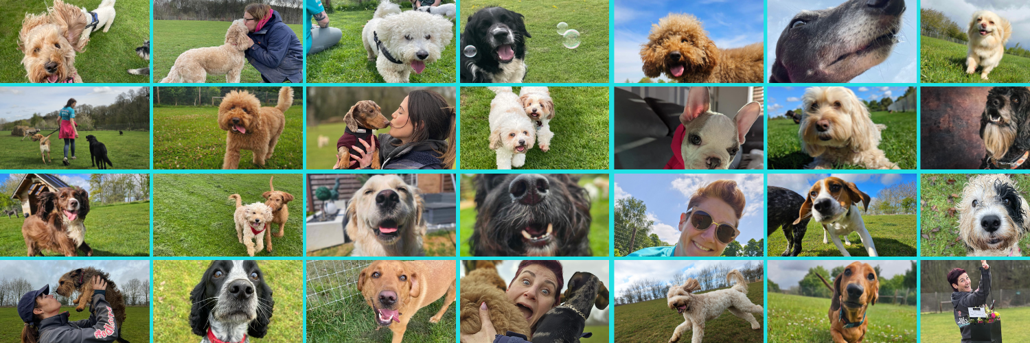 How it all started…