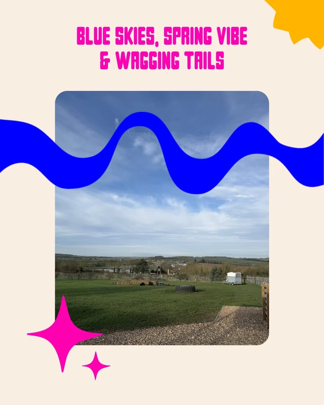 Mondays are officially for Oodles doggy playdates! Zoomies in the sunshine, fluffy cuddles, and paw-some new besties &mdash; what better way to start the week? Let the tail-wagging begin!