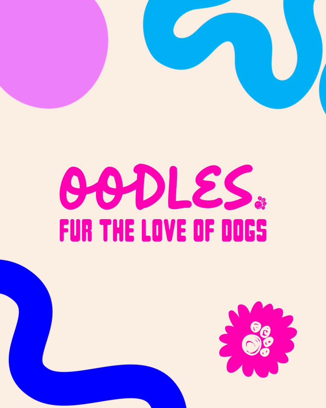 Unleashing Our New Look