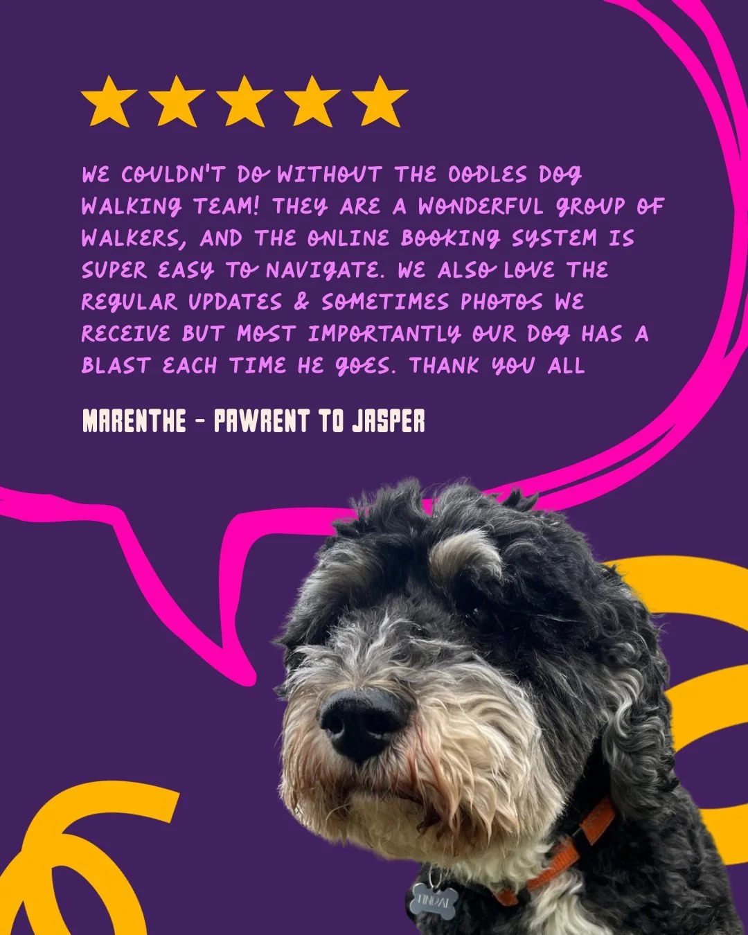 Nothing makes us happier than hearing how much our dogs (and their pawrents) love their time with us. 

Thank you, Marenthe, for trusting the Oodles team with Jasper. Knowing he has a blast on his walks and playdates means the world to us &mdash; and