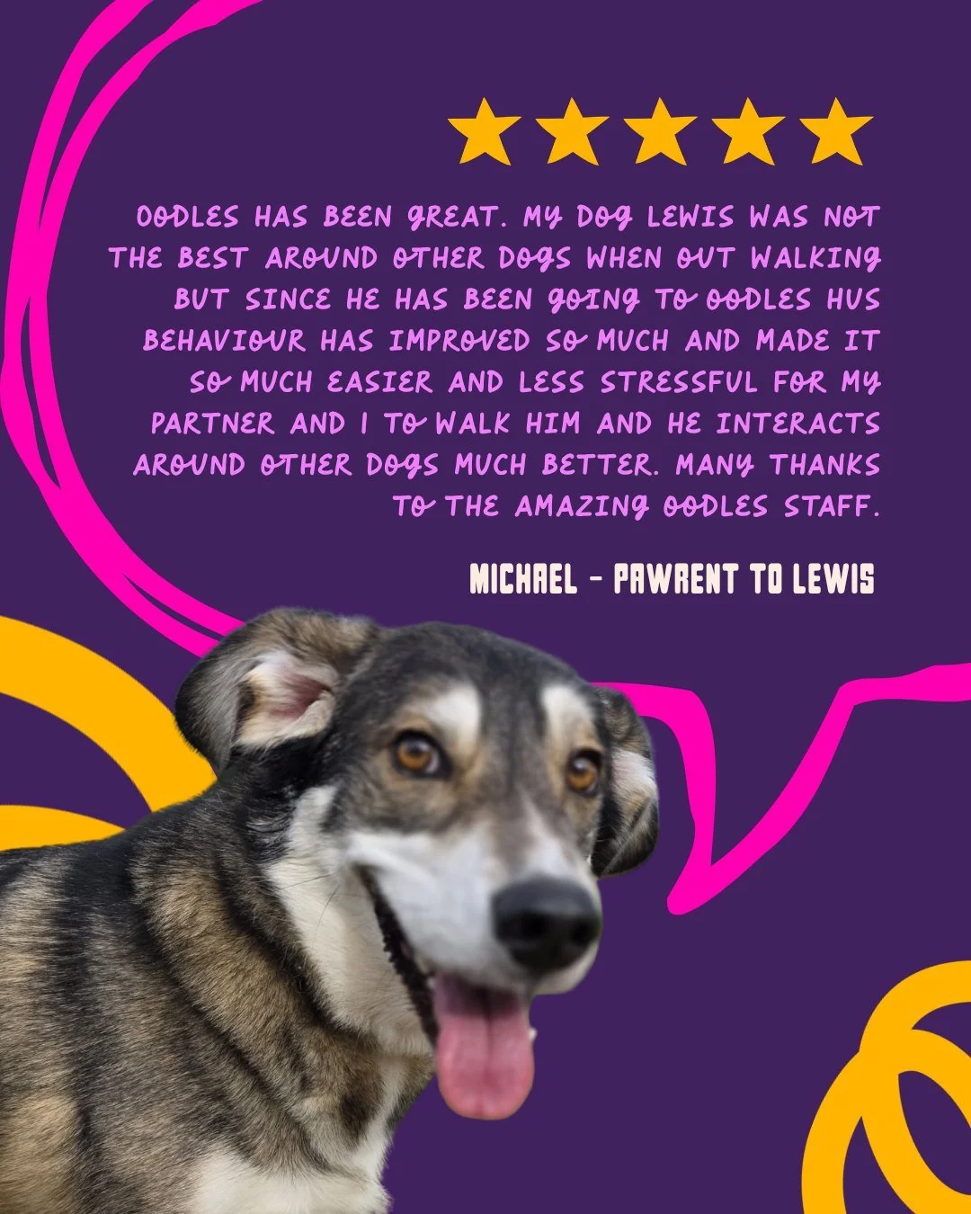 We LOVE seeing transformations like this 

 Lewis has worked so hard on his confidence, and watching him grow into a happier, more social boy is exactly why we do what we do.

Thank you for trusting us with your pup &mdash; and for sharing such a hea