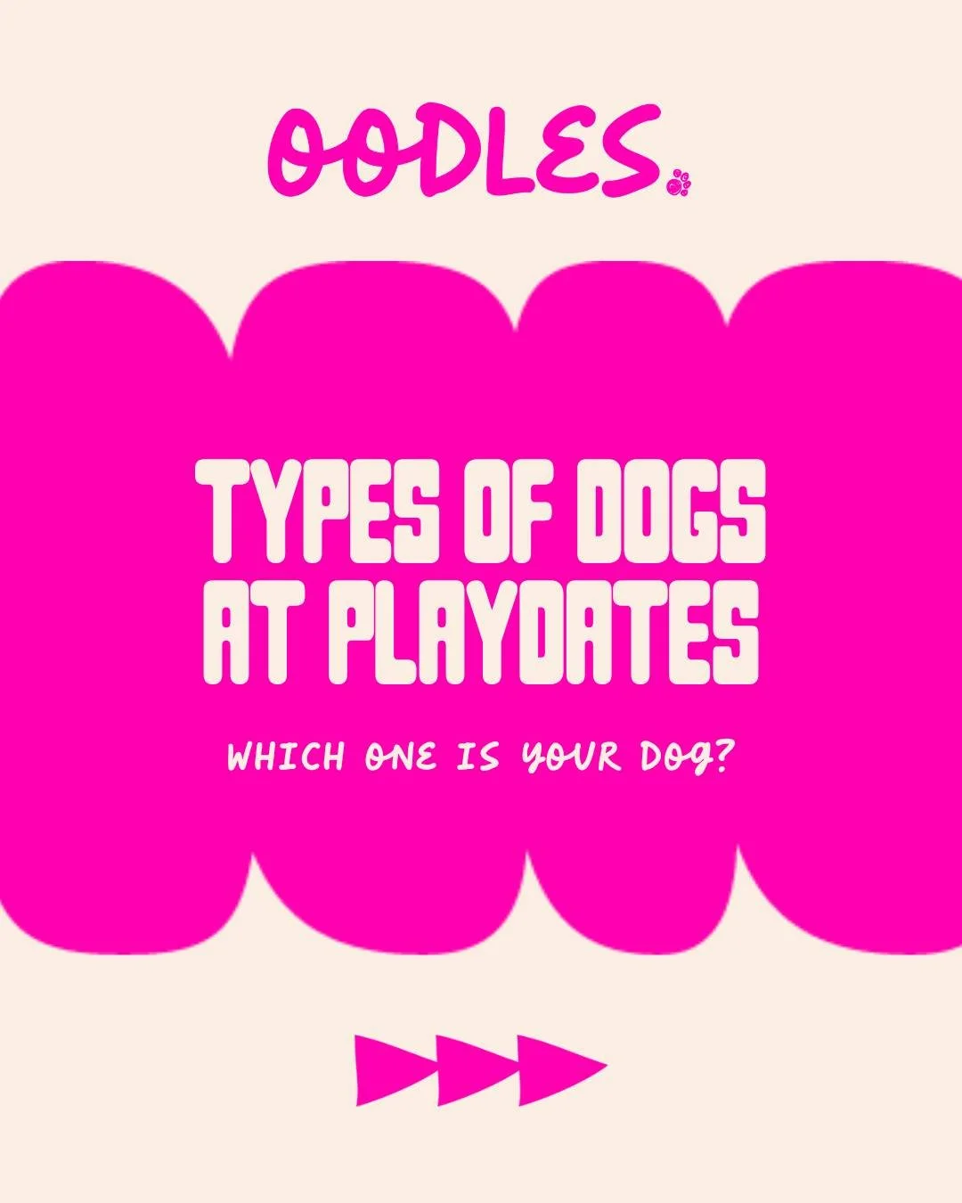 Every playdate has its characters&hellip; 

The Zoomie Champion racing laps around the paddock.
The Wrestler rolling around in a fluffy tumble.
The Social Butterfly greeting every dog like a long-lost best friend.
And of course&hellip; the Stick Coll