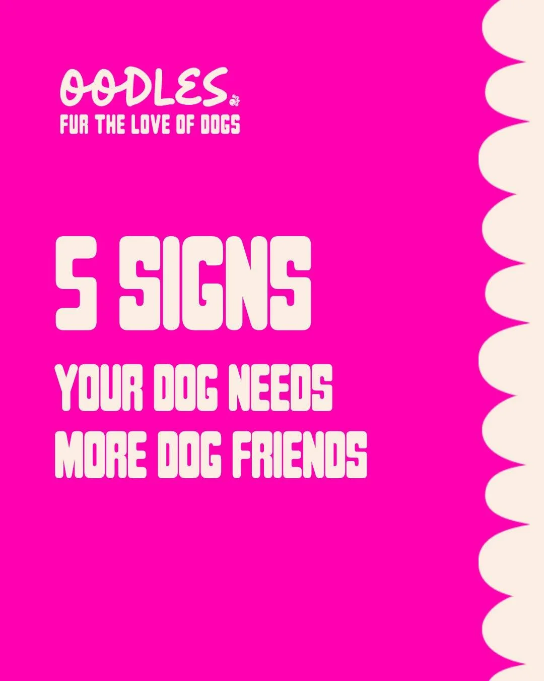 Dogs are social animals &mdash; and just like us, they thrive when they have friends. 

Sometimes the signs that a dog needs more social time are easy to miss. Extra zoomies, overexcitement when meeting other dogs, boredom behaviours, or even a littl