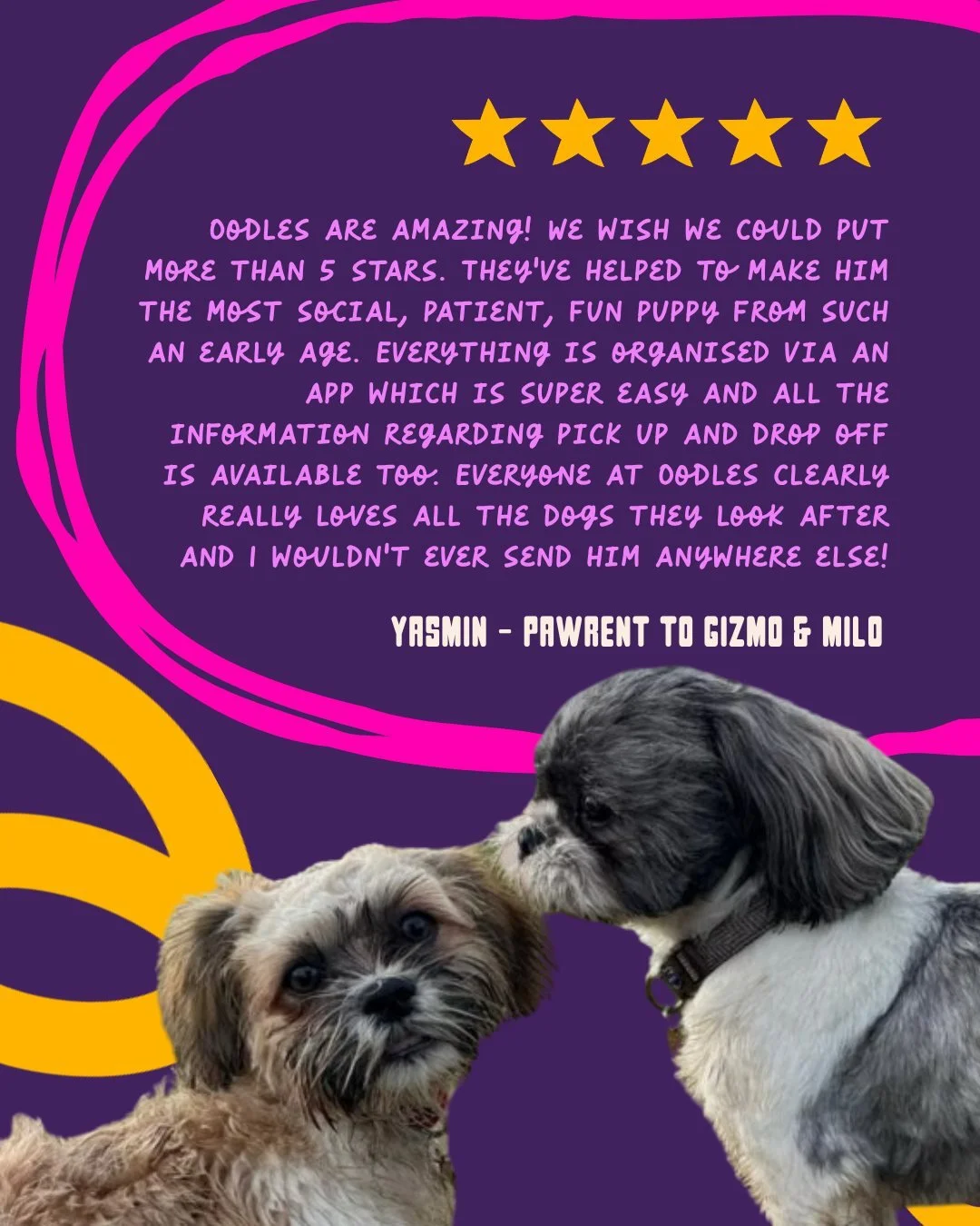 From tiny puppy paws to the social, patient, joyful boy he is today &mdash; we&rsquo;ve loved every step of his journey 

Hearing that our playdates, care and app updates have made life easier (and more fun!) means the world to us.

Our team truly ad