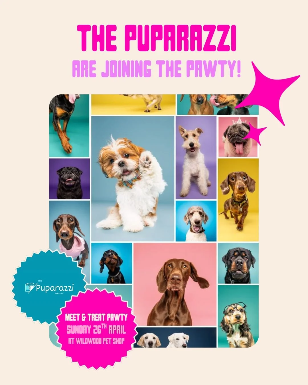 The Puparazzi are joining the Pawty!
 Capture your pup&rsquo;s cheeky face, zoomies and big personality with our on-site professional photo booth.
~ Booking required
~ Pay on the day
 This will sell out fast &mdash; book early AND register for the ev