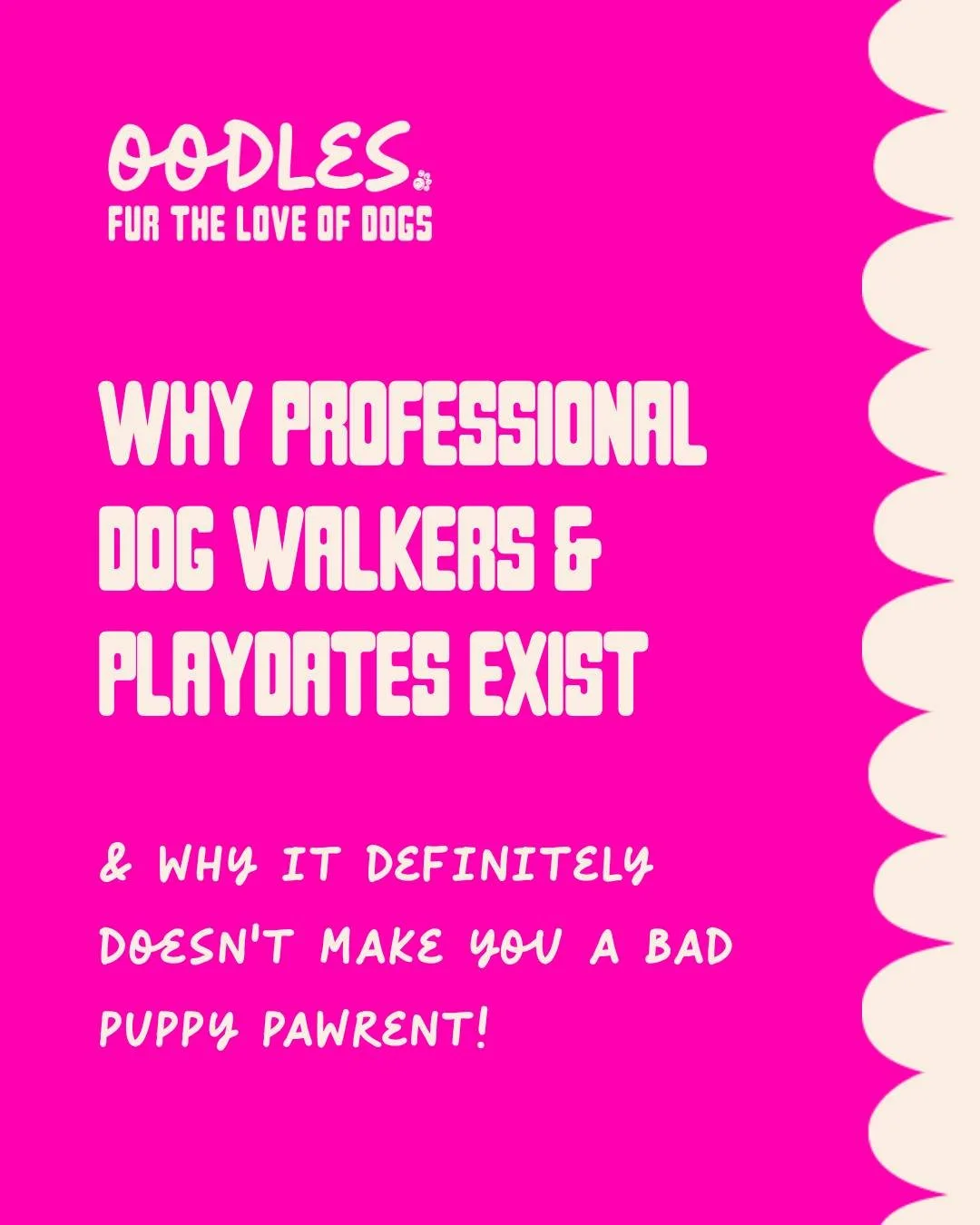 Professional dog playdates exist because dogs need safe, structured social time &mdash; and sometimes life gets too busy to provide it on your own. Getting support doesn&rsquo;t make you a bad dog parent&hellip; it actually makes you a thoughtful one