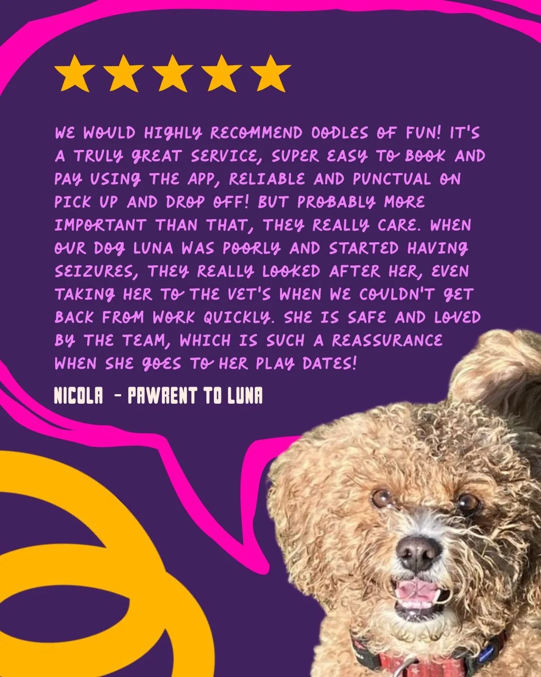 We Love Your Dogs Like They&rsquo;re Ours!
Hearing that your dog is happy, confident and excited to see us? That&rsquo;s the best review we could ever ask for! Thank you for sharing the love.

#oodlesfamily #oodlesreviews #dogloveuk #dogsofuk #dogwal