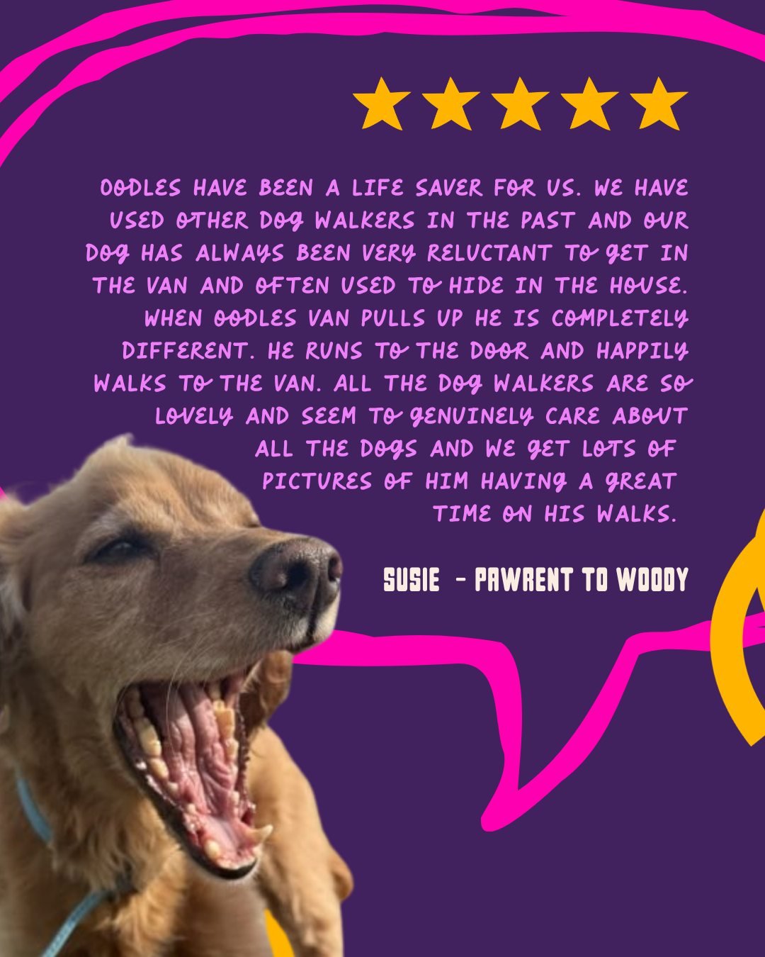 Thank You for Trusting Us!
We know how much your dog means to you &mdash; so hearing that you feel confident and supported by us means everything! Grateful for every review and every waggy tail.
#oodlesfamily #oodlesreviews #customerkindness #doglife
