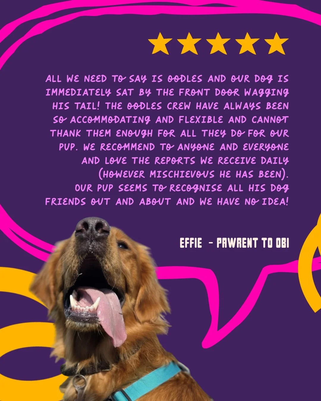 Reviews like this mean the world to our crew. Knowing that our Oodles dogs are so excited for their adventures, recognise their furry friends out and about, and come home happy after a day of fun is exactly why we do what we do.
We're so grateful to 