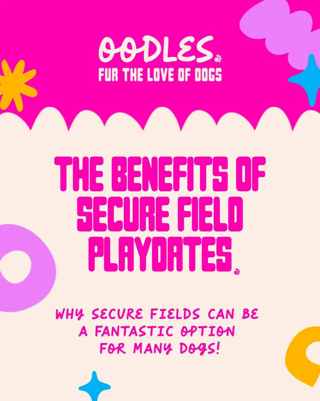 Secure field playdates are about so much more than just exercise. They're about giving dogs the freedom to be dogs &mdash; safely. 
At Oodles Family, our secure field sessions provide:
~ Safe off-lead freedom in a fully enclosed space
~ Confidence-bu