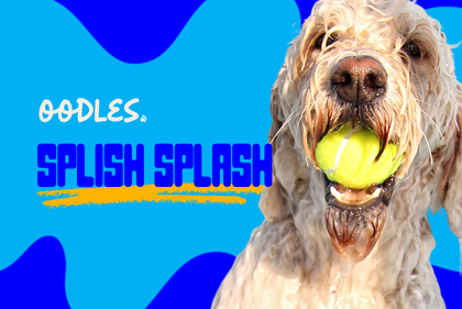 Exclusive Splish Splash Playdate 