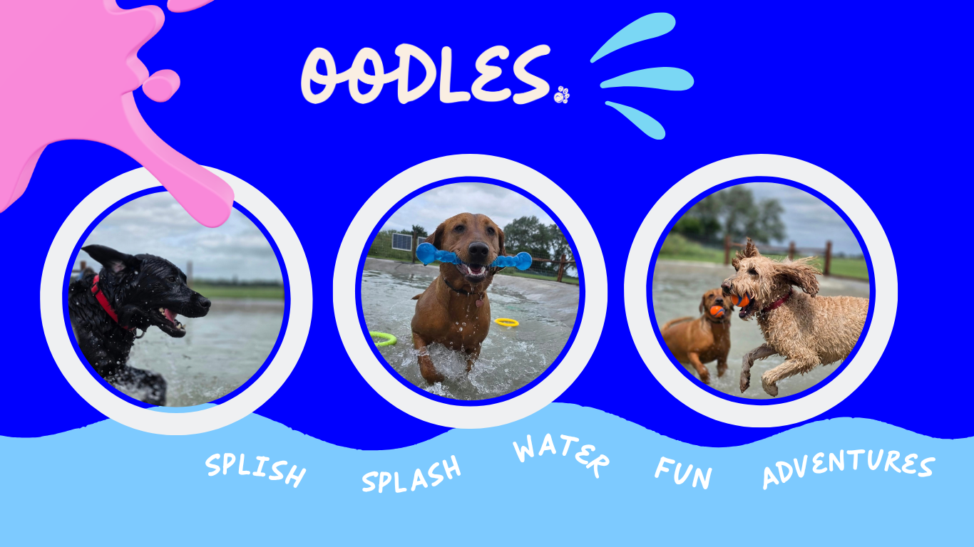 Oodles Water Adventure
