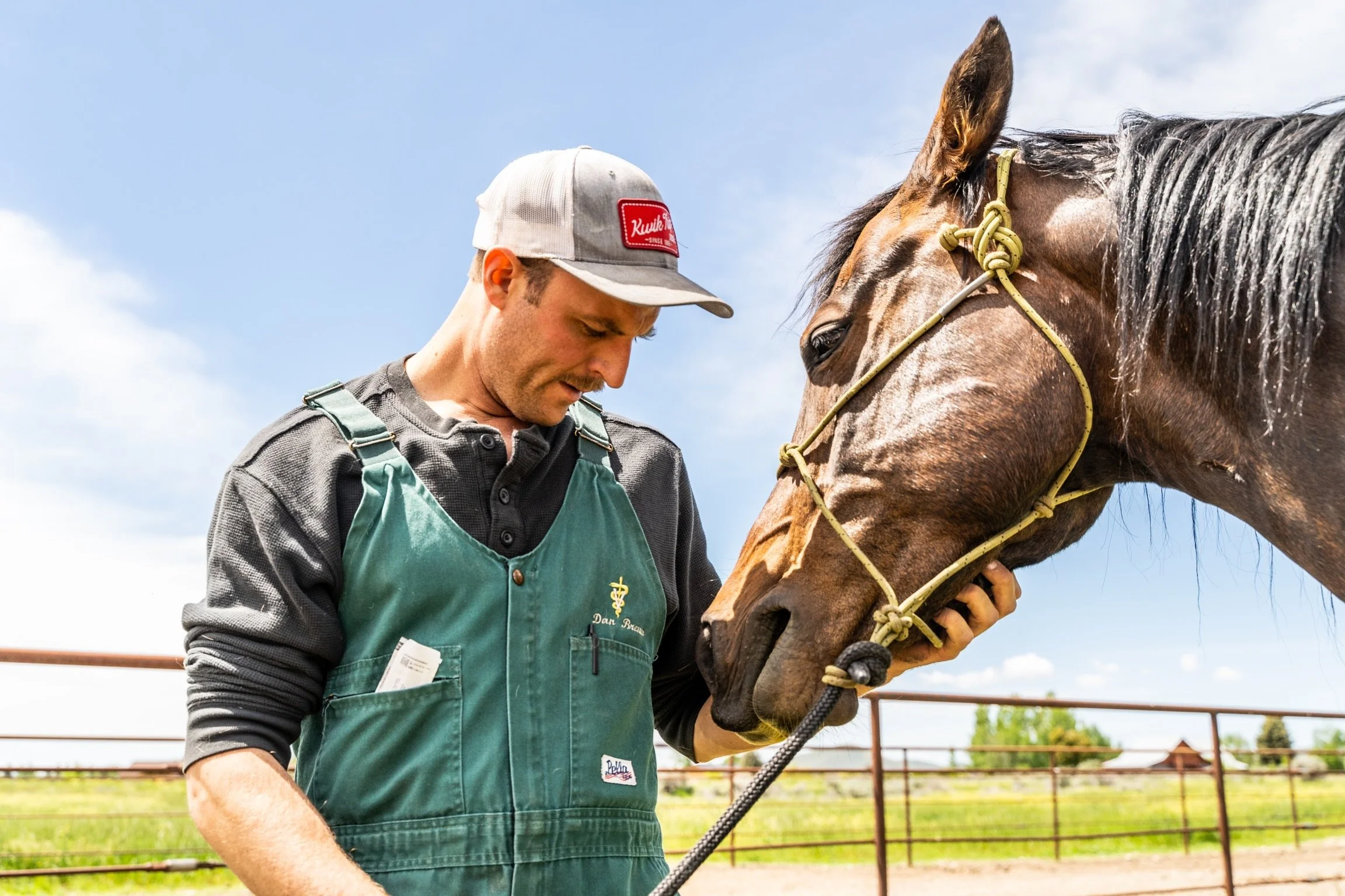 A man wearing a gray cap, green apron, and gray shirt is gently holding and leaning close to a brown horse with a yellow halter in a farm setting under a blue sky.