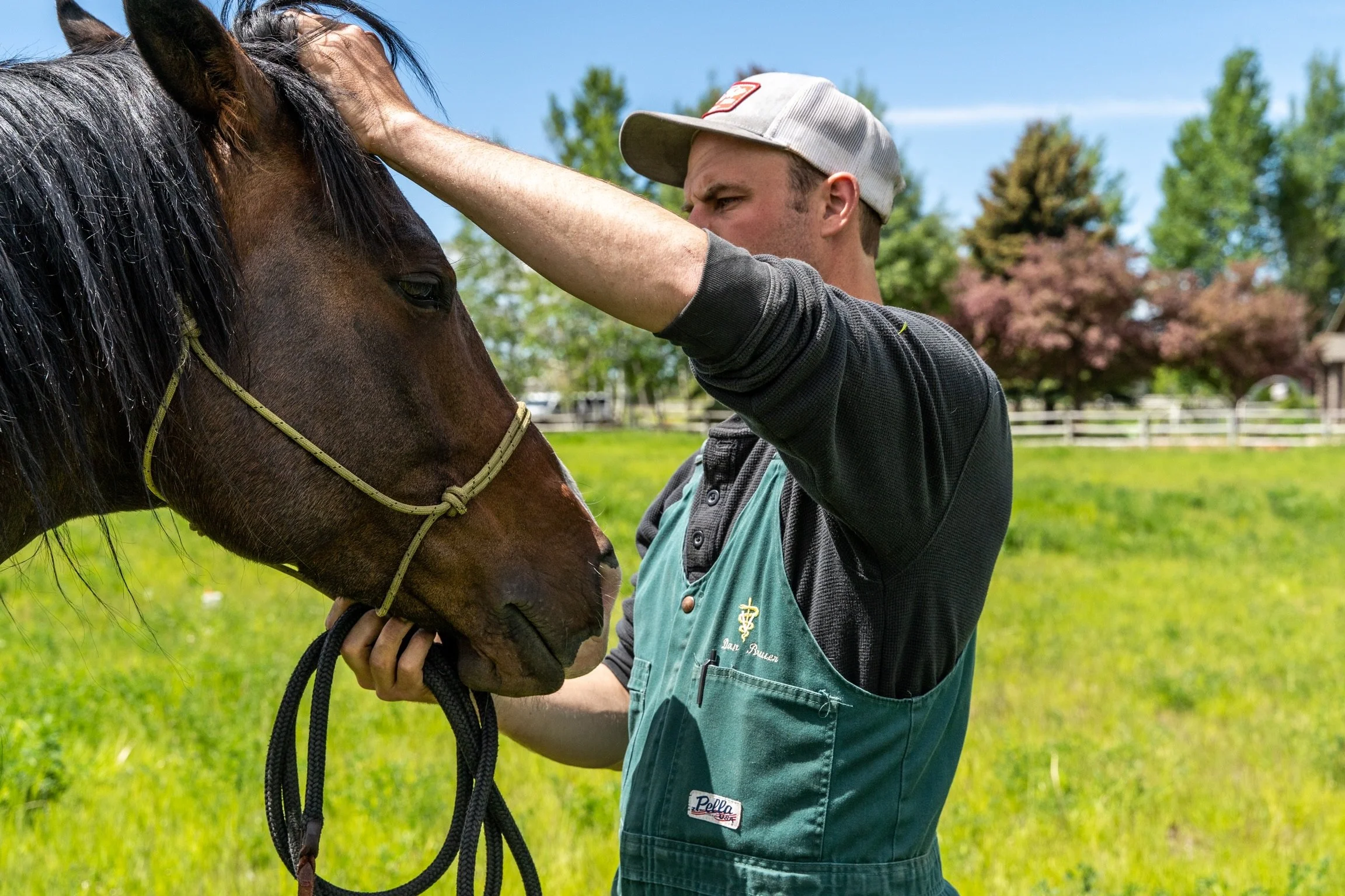 A man in a gray cap and black shirt petting a brown horse on its forehead outdoors on a sunny day.