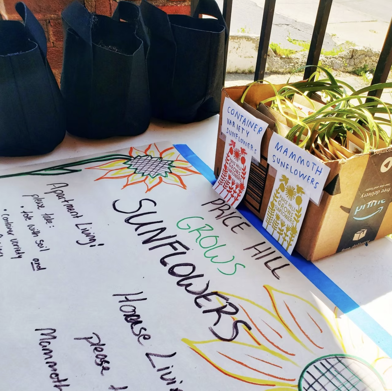 PriceHIllGrowsSunflowers2.png