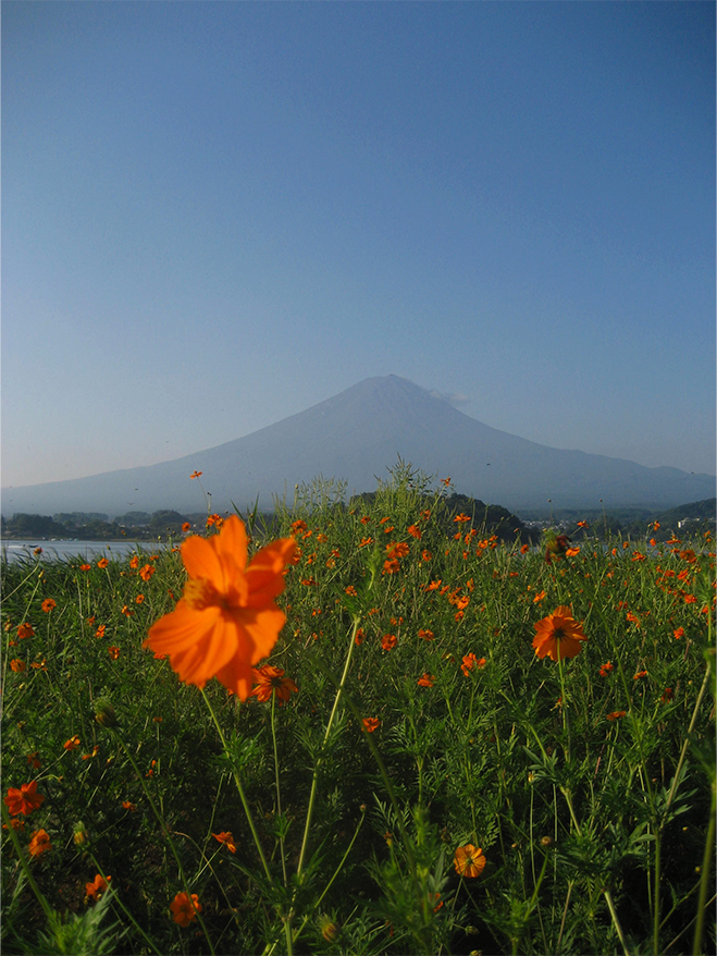 Fuji
