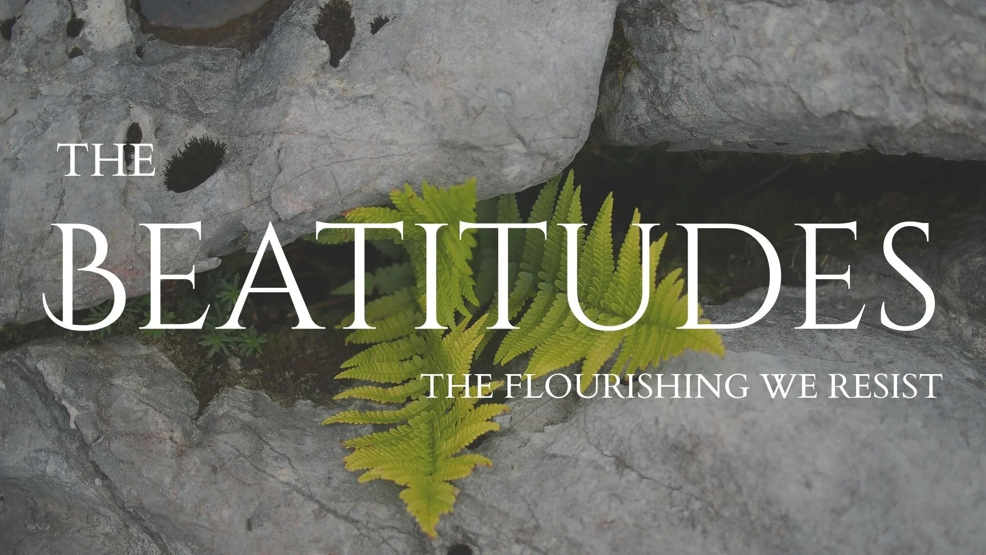 Beatitudes, Part III