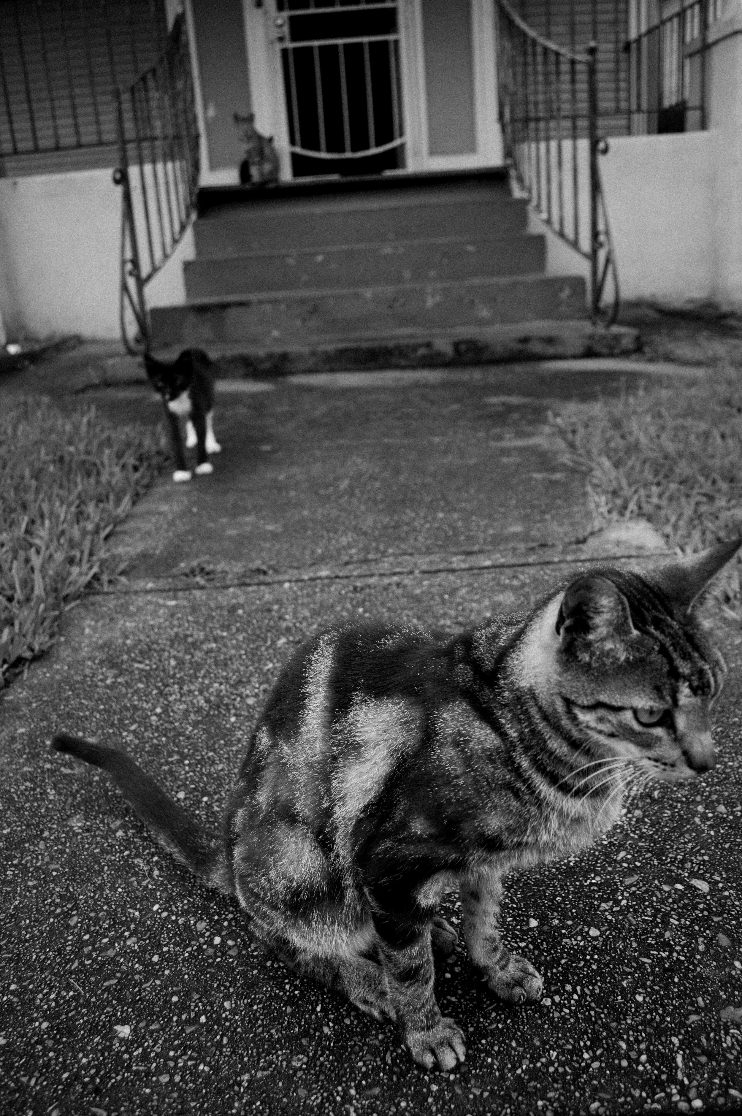 DSC_0046.jpeg