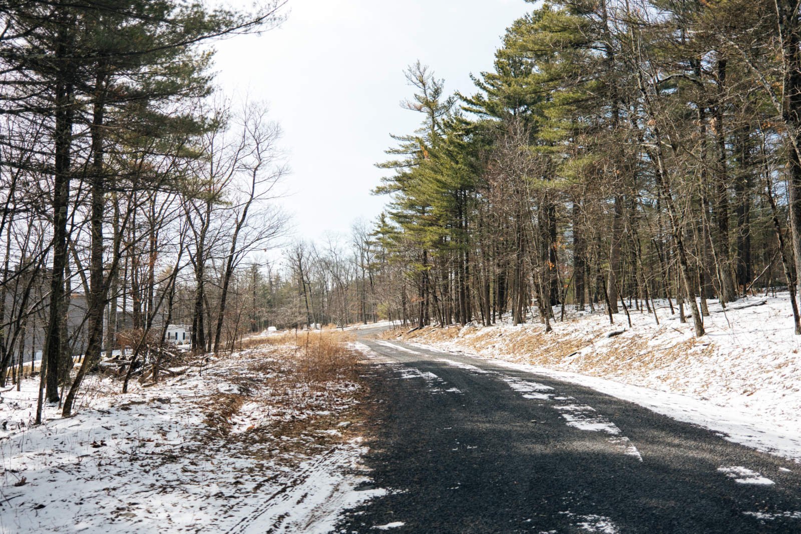 A winding gravel road runs through a winter forest with bare trees and patches of snow on the ground and some green pine trees.