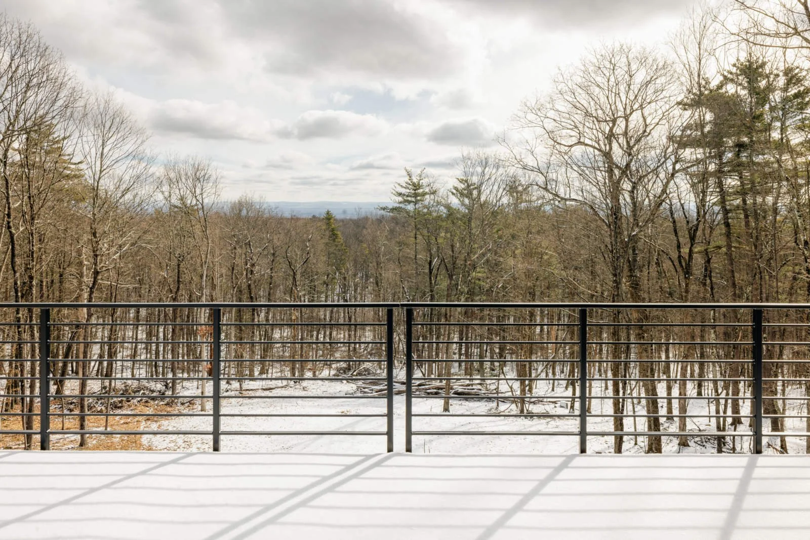 View of a snowy forest landscape seen from a balcony with a metal railing, overcast sky with clouds.